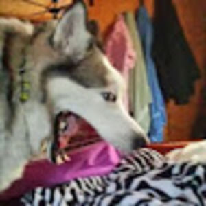 Meet your Posher, Isabel